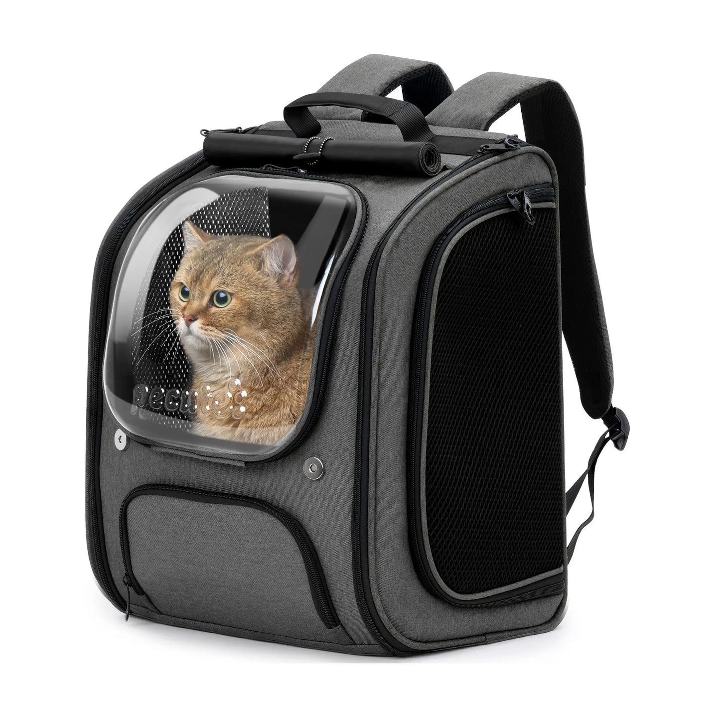 Pecute Expandable Cat Backpack Carrier – Airline Approved Bubble Space Capsule for Small Dogs & Cats, Stylish Pink Design with Locking Zippers and Ventilated Mesh