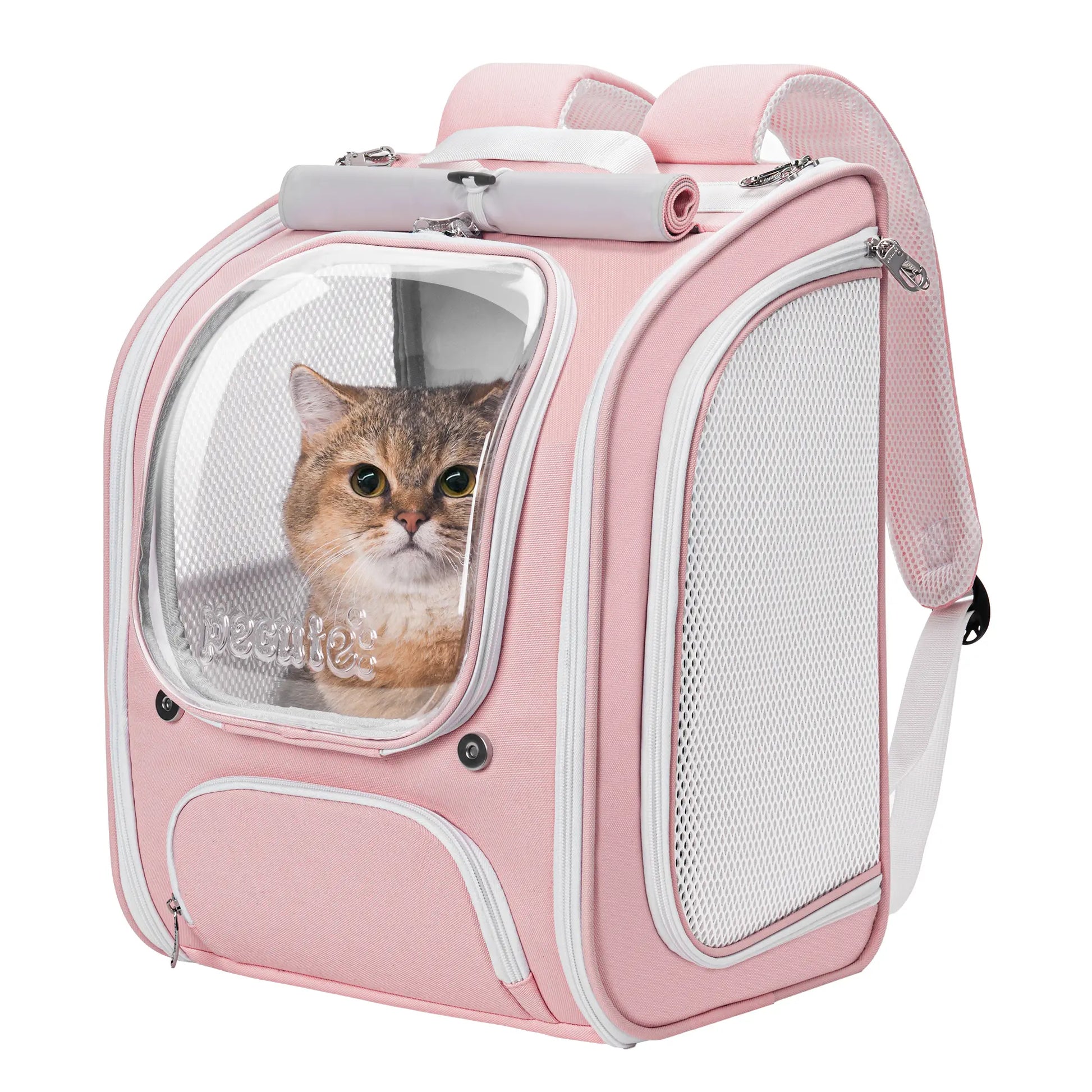 Pecute Expandable Cat Backpack Carrier – Airline Approved Bubble Space Capsule for Small Dogs & Cats, Stylish Pink Design with Locking Zippers and Ventilated Mesh