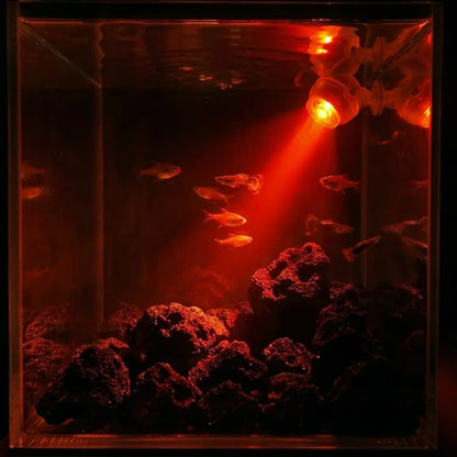 Vibrant Submersible LED Mood Light for Aquariums - USB Color-Changing Underwater Lamp, Waterproof Night Light for Freshwater & Saltwater Tanks