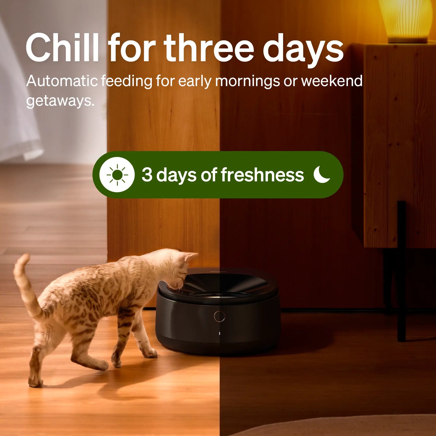 Revolutionary PETLIBRO Automatic Cat Feeder: Keep Wet Food Fresh with Smart WiFi Control and Timed Meals for Happy Pets