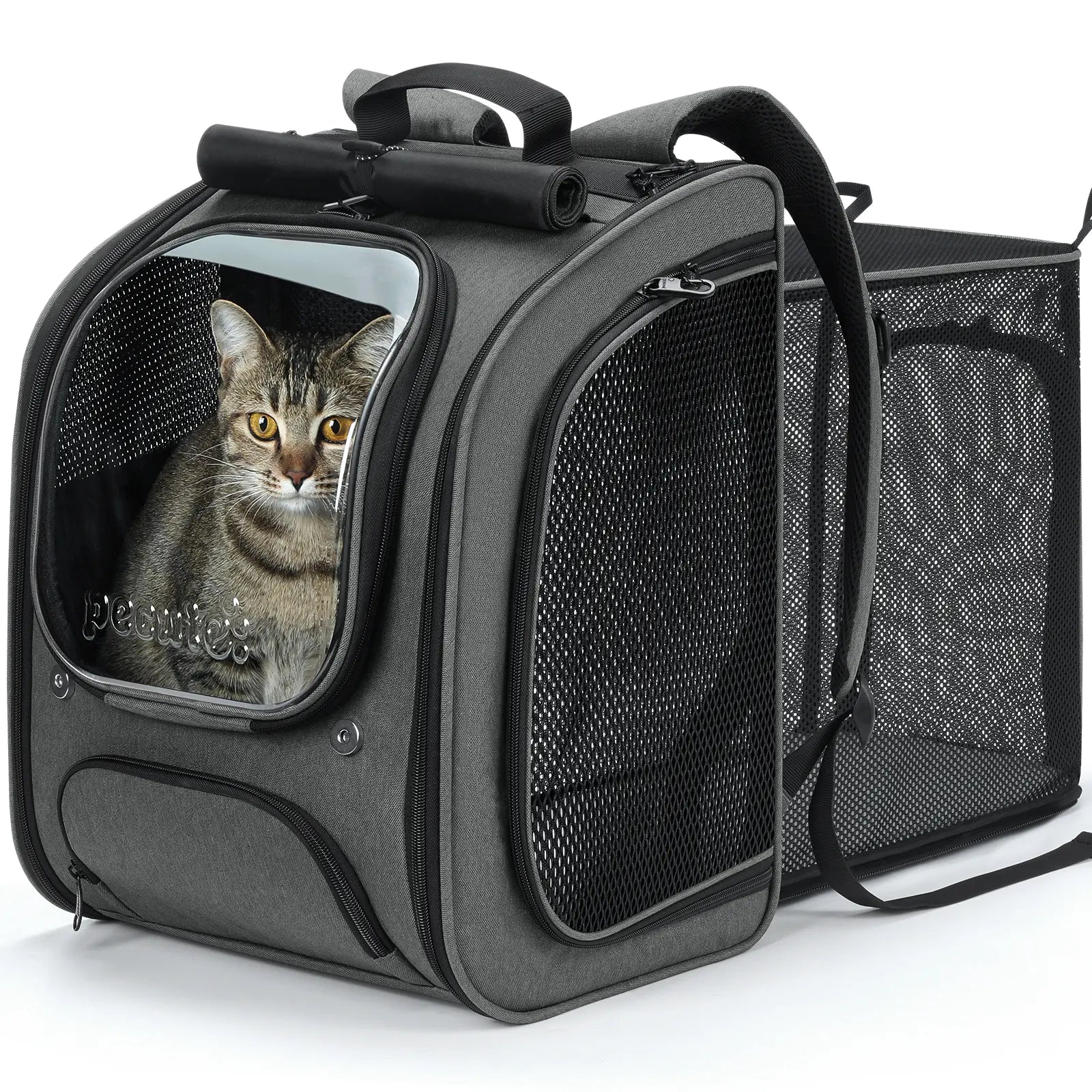 Pecute Expandable Cat Backpack Carrier – Airline Approved Bubble Space Capsule for Small Dogs & Cats, Stylish Pink Design with Locking Zippers and Ventilated Mesh